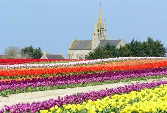 La-Torche-Penmarch-Plomeur7 la torche penmarch plomeur7