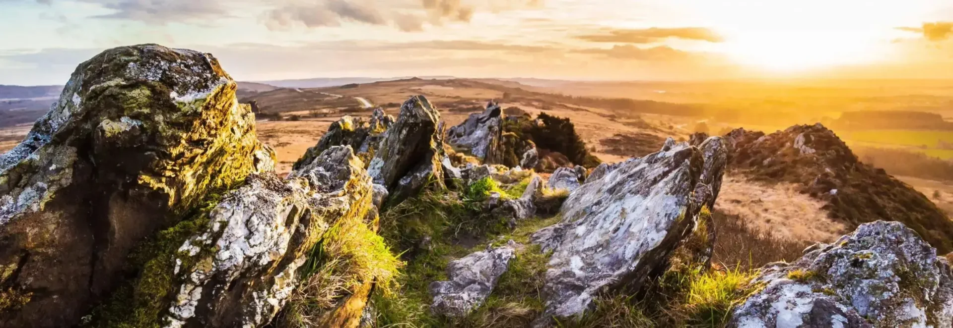 mont arree 1024x353 1