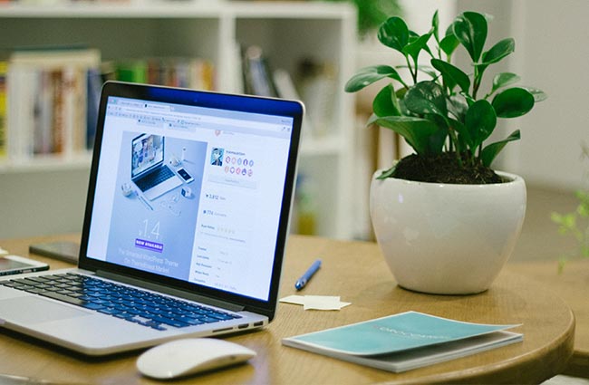 dp-tabs-400 dp tabs 400