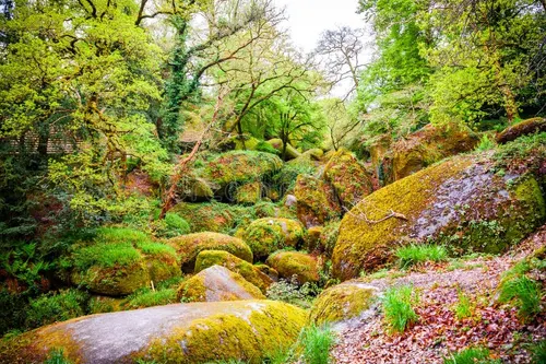 800x600 foret huelgoat