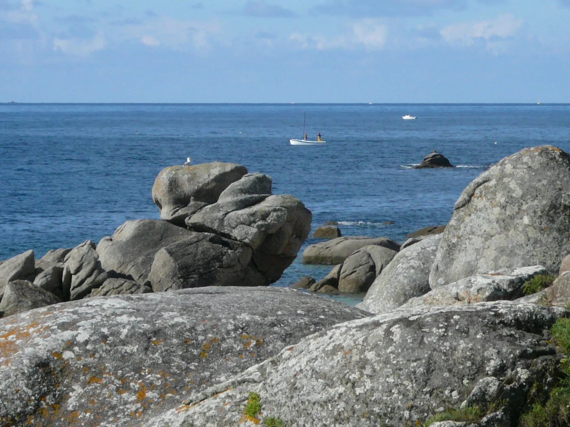 mouette-bateau mouette bateau